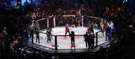 bodog mma odds|Bet on UFC Odds & Fighter Props Online .